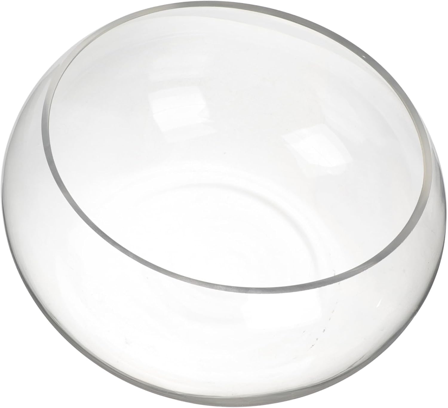 ORFOFE Glass Hydroponic Plant Bowl Round Transparent Fish Bowl for Decor Multi-Functional Terrarium for Aquatic Plants and Centerpieces