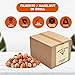 Presto Sales Filberts Hazelnuts Fresh off the tree Raw In Shell, Oregon, USA, fun to crack - 160 oz. (10 lbs.) Convenient Bag in a Box