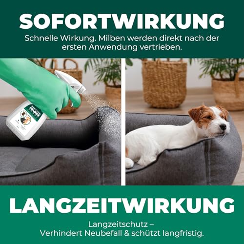 Silberkraft Milbenspray Hund & Katze 250 ml, Effektiver Schutz vor Milben, Flöhen & Parasiten , Anti-Milben-Mittel für Fell, Schlafplätze & Umgebung , Vertreibt Grabmilben, Herbstgrasmilben und mehr