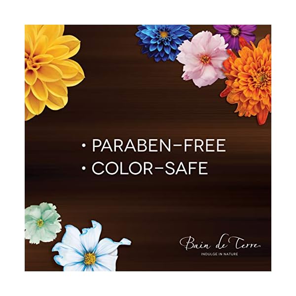 Bain de Terre Recovery Complex Anti-Frizz Silky Shine Reparative Serum | Eliminate Frizz & Create Instant Shine | Argan & Monoi Oils | Paraben Free | Color-Safe | 1.7 Fl Oz