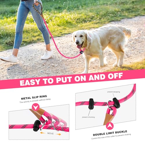 Dog walking with reflective pink leash at night