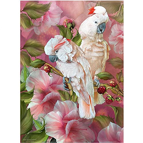 Kit complet peinture diamant 5D perroquet grand format idée cadeau artisanat