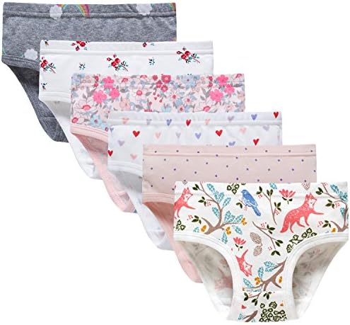 Baby Soft Cotton Panties Little Girls'Briefs Toddler Underwear (Pack of 6) 3-4T Pink