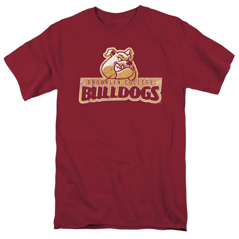 LOGOVISION Official Collegiate Distressed Primary Logo Adult T-Shirt Collection — view 155
