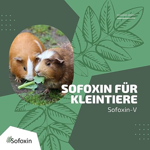 Sofoxin V Extra - Wundpflegespray für Tiere Vegan – Einfach, professionell, unkompliziert – Enthält pflanzliche Polymere - Soforthilfe bei Verletzungen der Haut – 50 ml