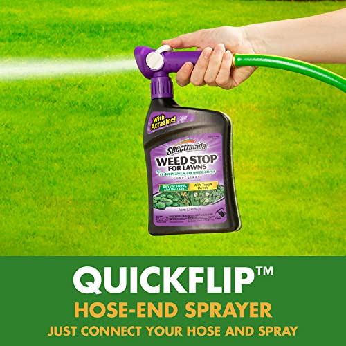 Spectracide 95684-1 Weed Stop For Lawns For St. Augustine & Centipede Lawns Concentrate thumb #4
