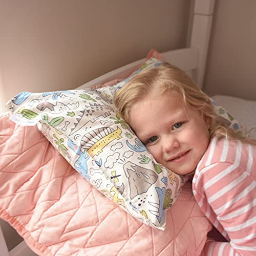 Image of ALVABABY Toddler Pillowcases, Fits 14x19 in Kids Pillow, 2 Pack Organic Cotton Baby Pillow Cover Envelope Kids Pillowcases for Boys Girls 2L-TPW16-US