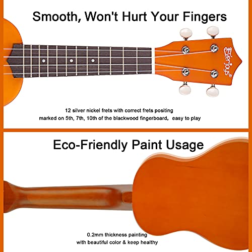 Everjoys Soprano Ukulele Beginner Pack-21 Inch W/Free Online Lesson Gig Bag Fast Learn Songbook Digital Tuner Pick All In One Kit #TOP4
