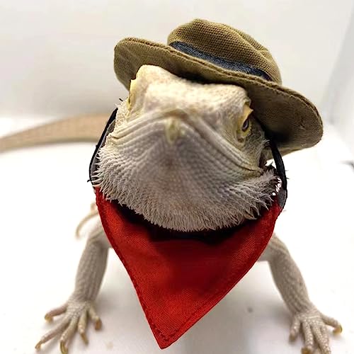 Sombrero y bandana cowboy para dragón barbudo y pequeños reptiles miniatura 2