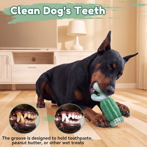 Cactus Tough Dog Chew Toy 5.99 w/ Code + 40% Off Code VVZZRZQR - image 6