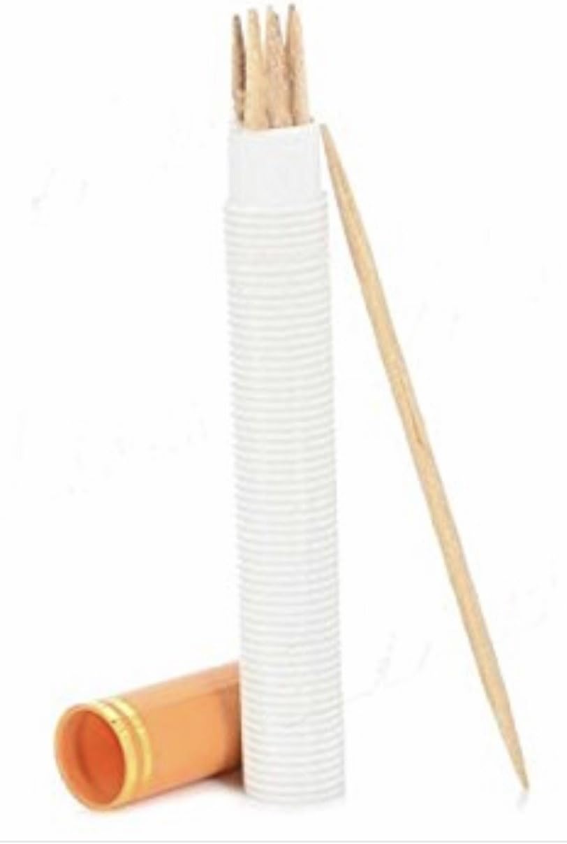 2pcs Portable Cigarette Shaped Pocket Toothpick Holder