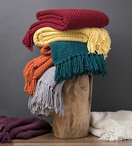 Chanasya Textured Knitted Super Soft Throw Blanket With Tassels - Warm Fluffy Cozy Plush Knit - For Fall Winter Couch Bed Sofa Living Room Framhouse Boho Accent Decor (60X70 Inches) Orange Blanket #TOP4