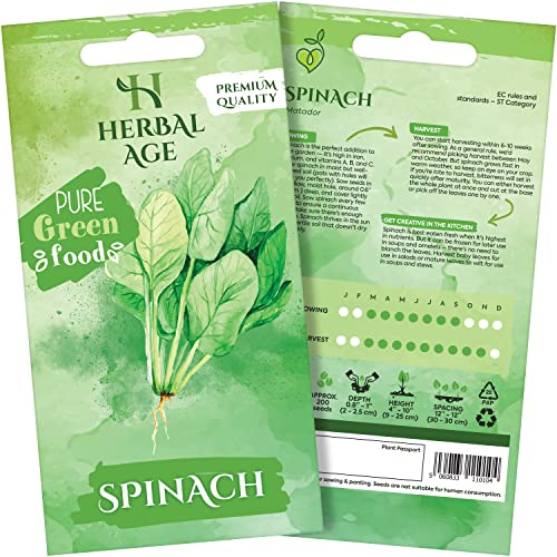 HERBAL AGE Spinach Seeds Plants, Grow Your Own Herb Garden Kit, ~200 Seed Box, Salad Herbs for Planting UK, Veg Plant Gardening Gift for Men, Women, Kids, Seeds to Plant Outdoor & Indoor