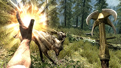 The Elder Scrolls V : Skyrimの関連画像4