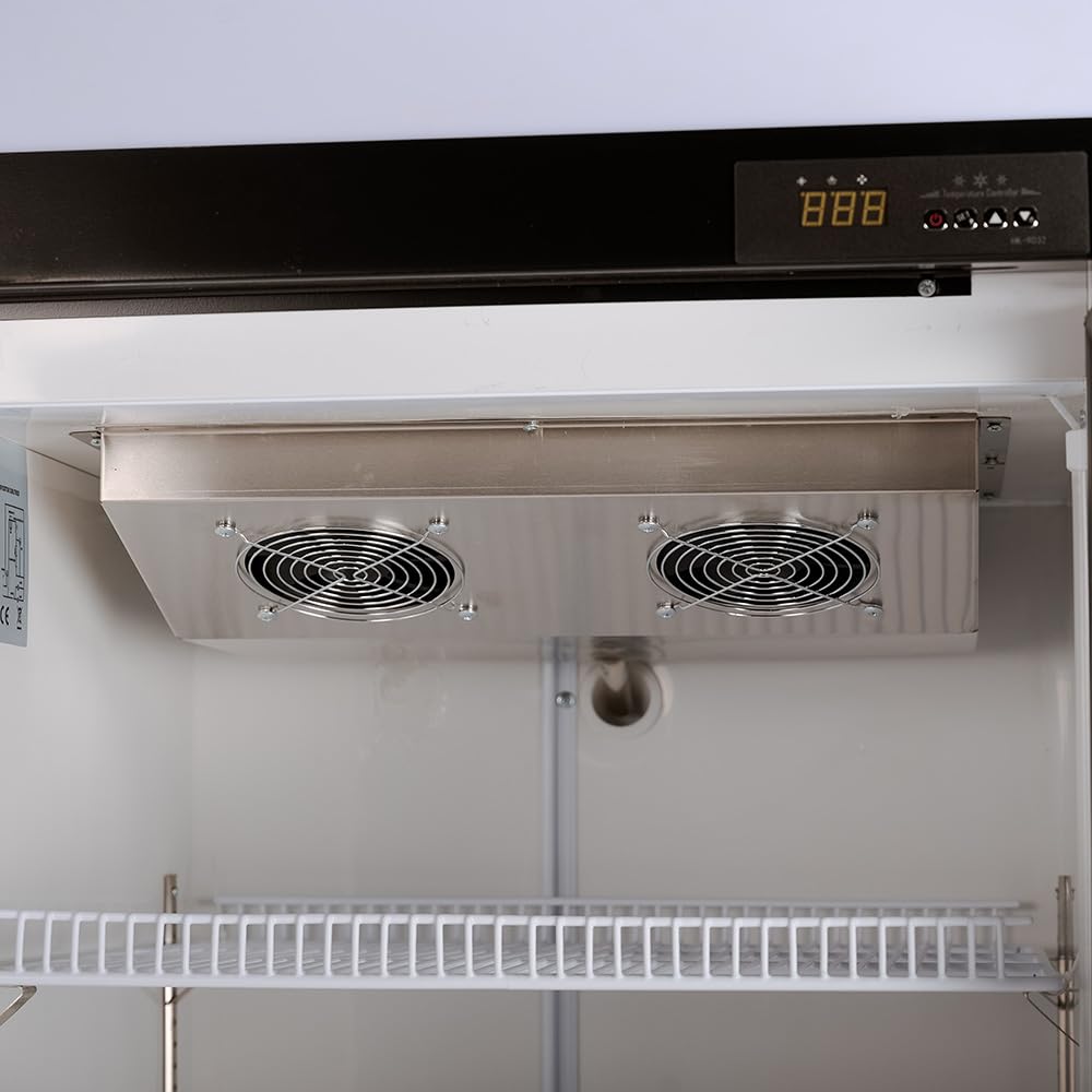 Cleiton® Armario Expositor Refrigerador 1 Puerta de Cristal 330 Litros Doble Cristal Templado Refrigeracion Ventilada Antivaho 600x620x2000 mm | Vitrina Expositora Refrigerada | Nevera Frio Bebidas