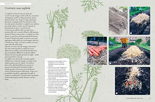 Come Coltivare Gli Ortaggi. L'arte E La Scienza Di Coltivare I Propri Ortaggi. Ediz. A Colori - 5