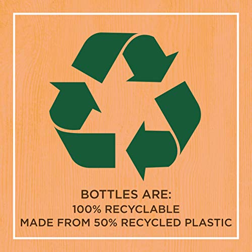 Garnier Ultimate Blends Shampoo For Damaged Hair | Papaya Hair Food Shampoo by Garnier Ultimate Blends | 98 Percent Natural Origin Ingredients | 350 ml Pack of 6 - Image 5