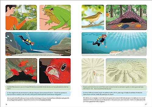 Di Terra O Di Mare - 4