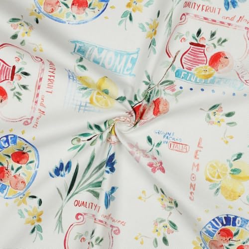 Hans-Textil-Shop Canvas Stoff Mediterran – Baumwollstoff Blumen & Obst Meterware 138 cm breit, 225 g/m², Digitaldruck mediterranes Design – Deko Stoff für Kissen, Vorhänge, Tischdecken, Taschen