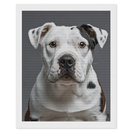 Peinture diamant dalmatien pour salon et chambre : kit de broderie 5D pour débutant