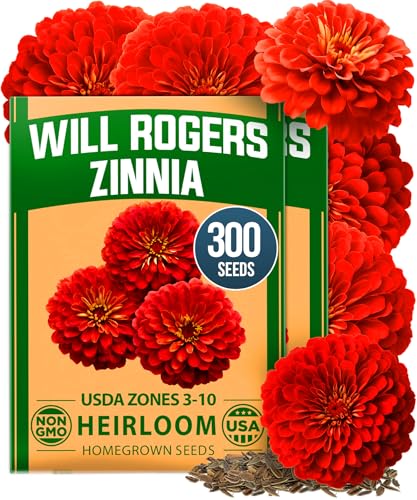 Image of HOME GROWN Will Rogers Zinnia Seeds - 300 Zinnia Flower Seeds for Planting Outdoors - Tall Zinnia Elegans Cut Flowers - Heirloom Non-GMO Zinnia Seeds for 2026 (Zinnia Elegans)