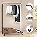 Simple Trending Clothes Clothing Rack, Rolling Garment Rack with Storage Shelves on Wheels, Black