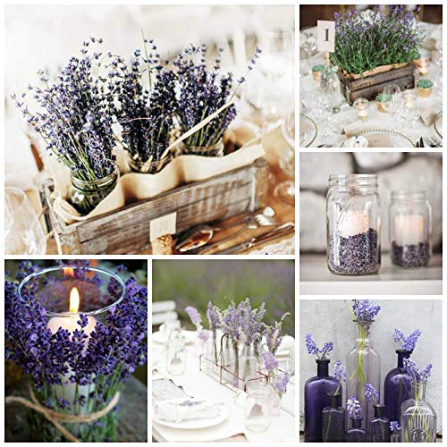 Cedar Space Flores de Lavanda Secas 2 Atados 16 Pulgadas miniatura 2