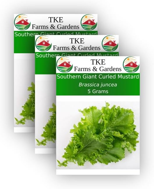 TKE Farms - Semillas de mostaza rizadas gigantes del sur para plantar, 0.18 oz  2000 semillas, Brassica juncea