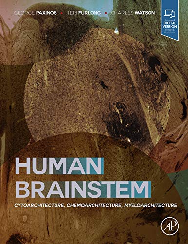 Human Brainstem: Cytoarchitecture, Chemoarchitecture, Myeloarchitecture (English Edition)