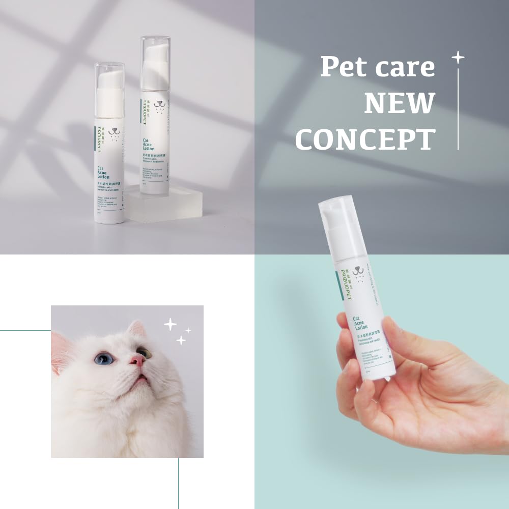 Skin Feline Acne Medication Skin Conditions In Cats: Types