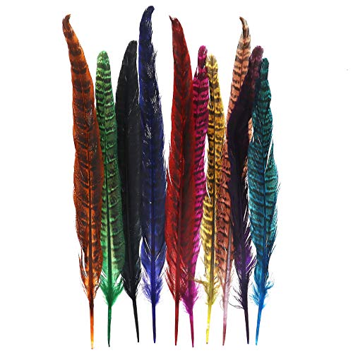 ENET Plumas de la cola del faisán de la naturaleza los 25-30cm para el multicolor de la decoración