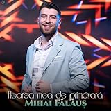 Mihai Fălăuș