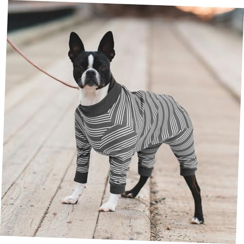 Vêtements de convalescence après opération chirurgicale petit chien