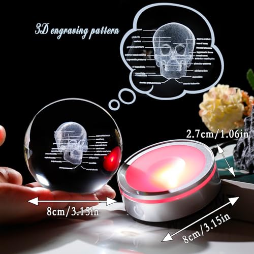Image of Arikyrist Crystal 3D Human Skull Figurine 3.15 in. Ball Gifts for Him Her | Skeleton Anatomical Mini Model, Colorful Light Base, for Neurologist Psychologist Doctors, Graduation Gifts, Medical Students