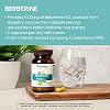 Himalaya Berberine - Herbal Supplement for Supporting Normal Metabolism, Immune, and Digestive Health - Vegan, Gluten Free, 500 mg, 60 Vegetarian Capsules