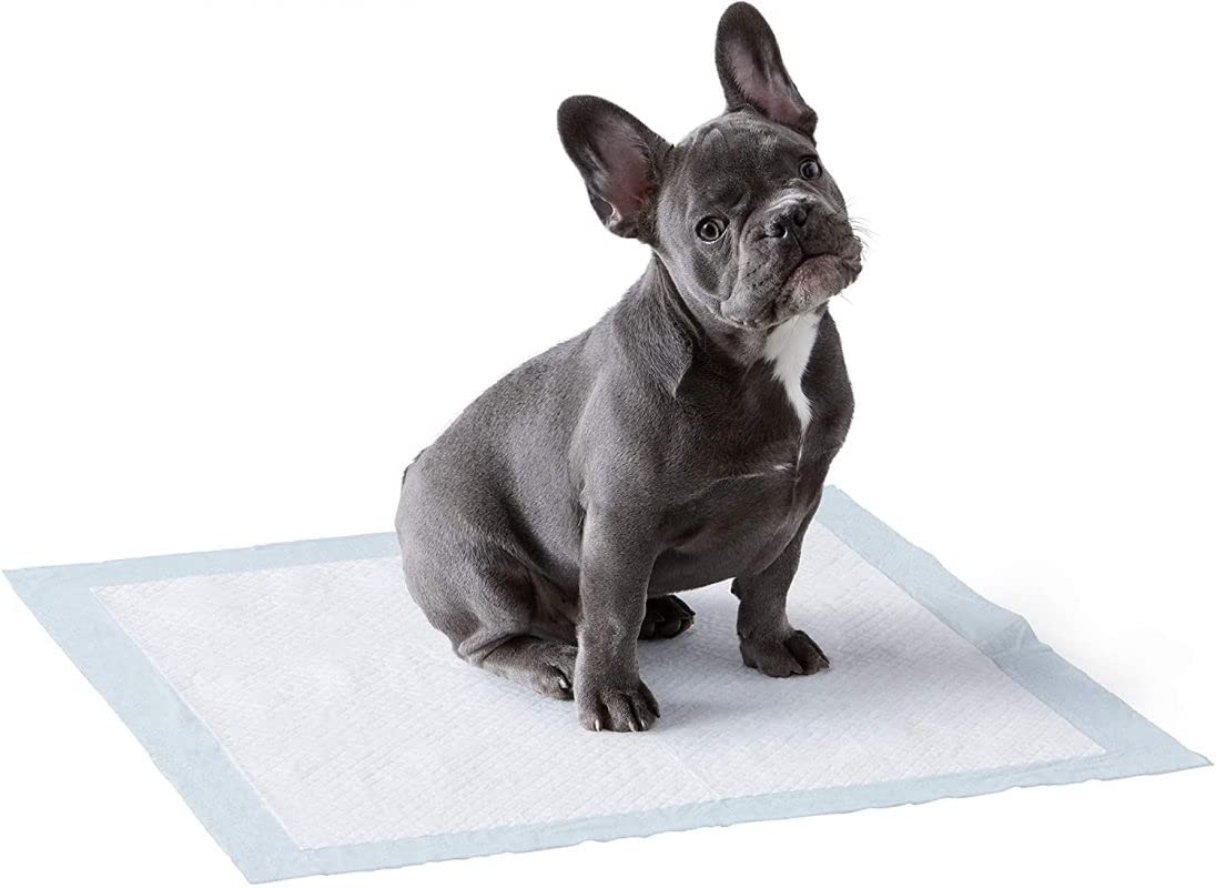 LPM - 120 Tapis Educateurs pour Chiens 60 x 40 cm - Apprentissage pour la propreté - Ultra Absorbant