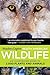 North American Wildlife: An Illustrated Guide to 2,000 Plants and Animals (Reader's Digest)