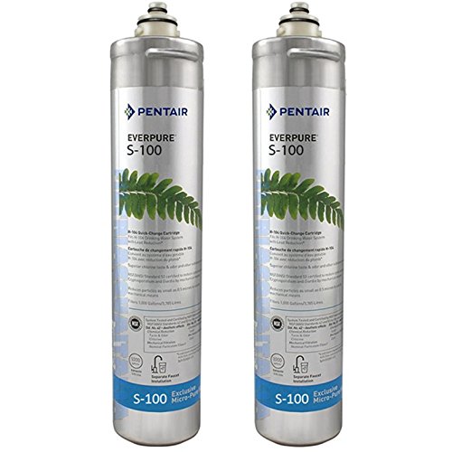 Everpure S100 EV9601  04 Juego 2 Piezas