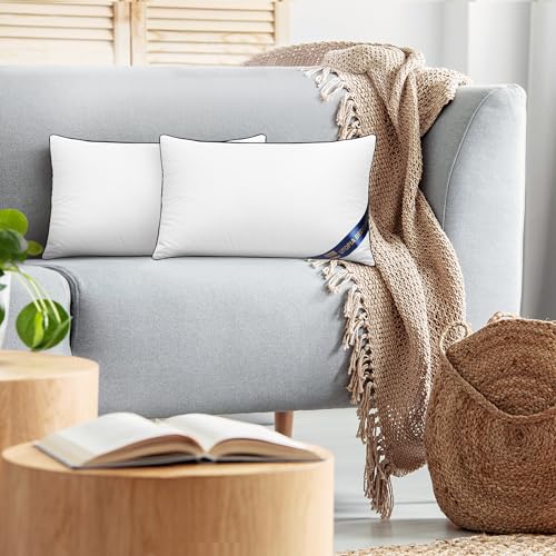 Utopia Bedding 2er Set Kissen 30x50 cm, Kissenfüllung für Bett und als Dekokissen, Sofakissen, Zierkissen für Couch (Weiß)