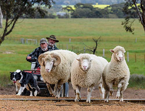 Besser wird's nicht [Blu-ray]