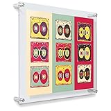 Wexel Art 19x23 Double Panel Floating Acrylic Frame for  16x20 Art and Photos