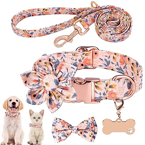 Collar para perros ajustable acolchado de nylon con anilla metálica 2