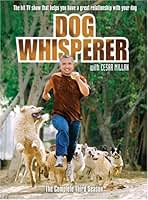 シーザー・ミランの犬のトラブル解決ショーほか DVD 3枚セット DVD ザ・カリスマ ドッグトレーナー シーザー・ミランの 解決