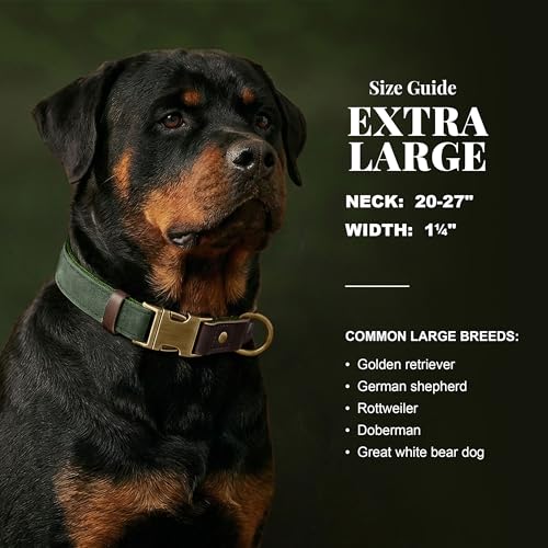 Image of Didog PU Leather Dog Collar for Large Dogs, Soft Nylon Lining, Green XL