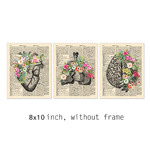 Zearpt Anatomy Art Set, Anatomy With Flower, Psychology Wall Art thumb #1