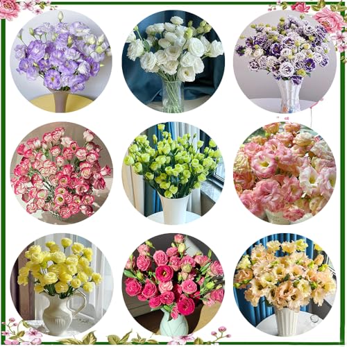 semi di eustoma - lisianthus resistenti, perenni resistenti, balcone di eustoma, campo, 50pcs