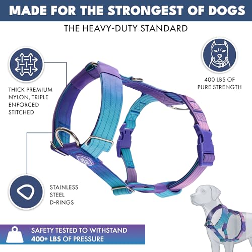 Image of Spark Paws Grab & Go No Pull Dog Harness for Large Dogs, Heavy Duty Dog Harness for Big Strong Breeds, Adjustable, Y Shaped Padded Halter Design with Front Clip - 90s Retro - M