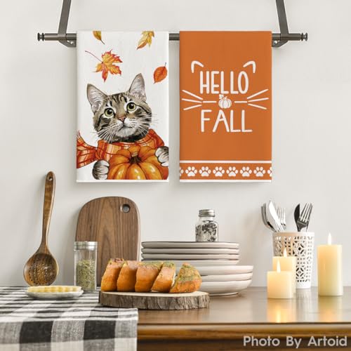 Artoid Mode DISHTOWEL-FALL-4075-2PC-045-RE Cat Pumpkin Hello Fall Kitchen Towels Dish Towels thumb #1