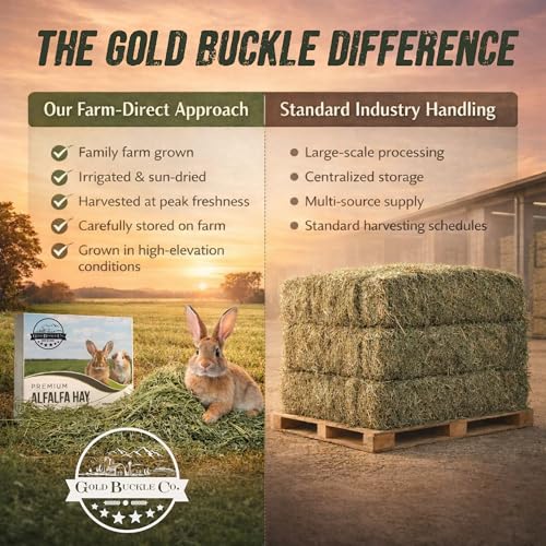 9lb Farm Fresh, USA Grown, Organic Alfalfa Hay for Rabbits, Guinea Pigs, Chinchillas, Goats, Hamsters & Ferrets - Rabbit Food Rich in Protein & Fiber - Just Dried, Hand-Selected - Image 3