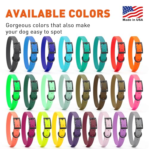 Image of Dogline Biothane Waterproof Dog Collar Strong Coated Nylon Webbing with Black Hardware Odor- Proof for Easy Care Easy to Clean High Performance Fits Small Medium or Large Dogs, Lemon Yellow